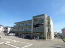 パレス石井Ⅱの間取り画像
