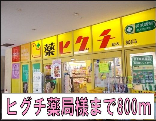 近くのヒグチ薬局様まで800m（徒歩10分）
