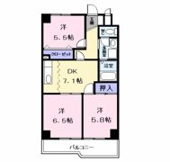 ネクステージ・あらこの間取り画像