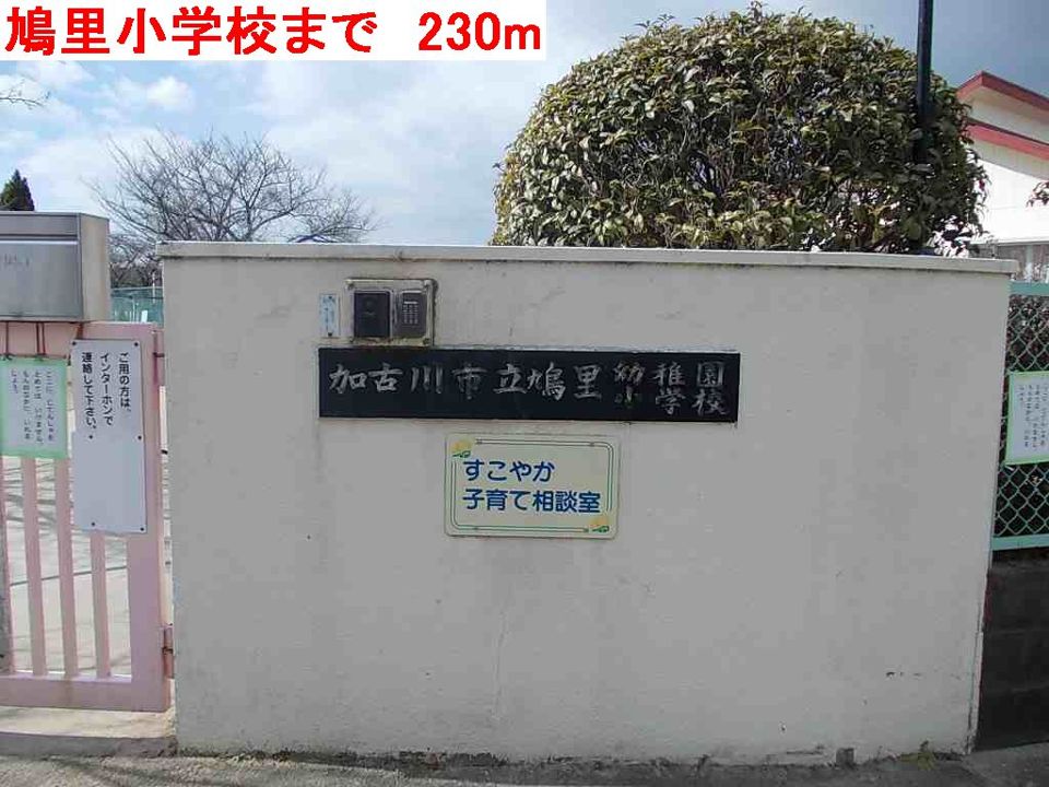 近くの鳩里小学校まで230m(徒歩3分)