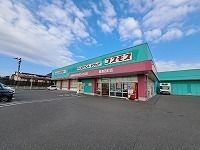 近くのコスモス 屋島西町店さんまで750m（徒歩10分）