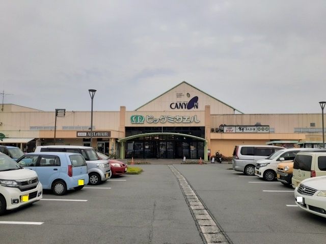 近くのキャニオンまで500m(徒歩7分)