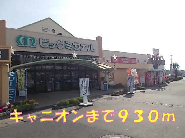 近くのスーパーまで930m（徒歩12分）