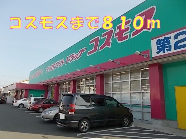 近くのドラッグストアまで810m（徒歩11分）