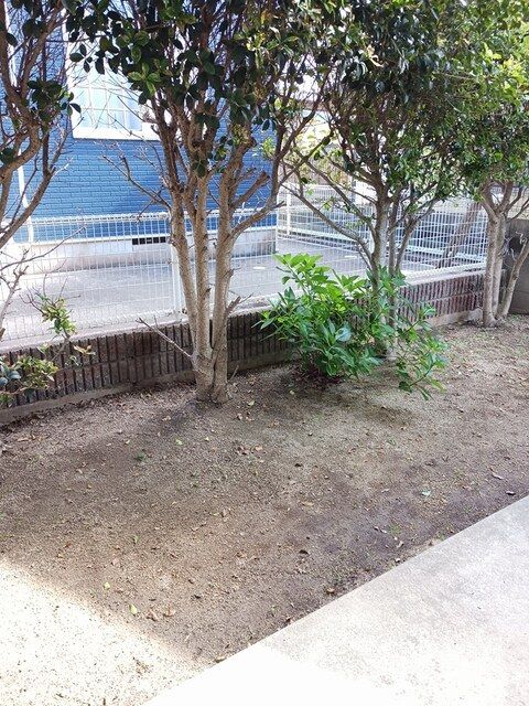 庭