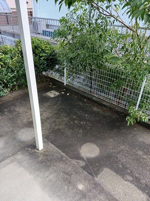 庭