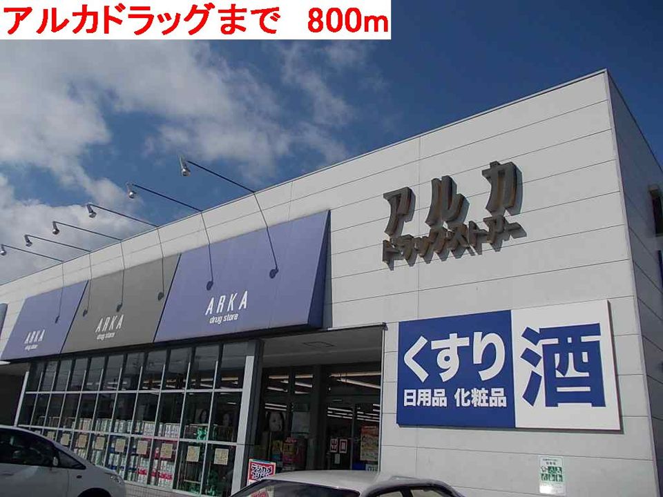 近くのアルカドラッグまで800m（徒歩10分）