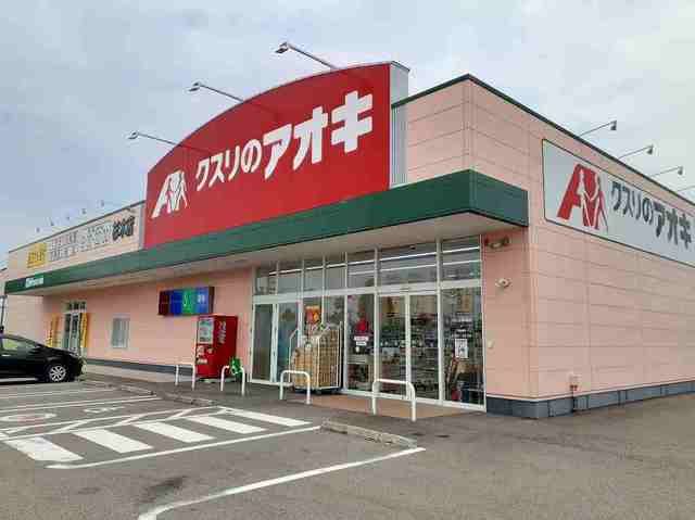近くのクスリのアオキまで300m（徒歩4分）