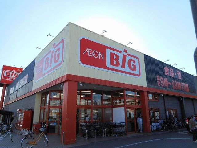 近くのザ・ビッグ桜木店まで850m（徒歩11分）