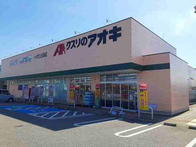 近くのドラッグストアまで750m（徒歩10分）