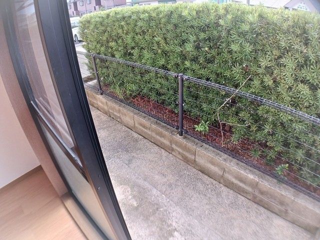 庭