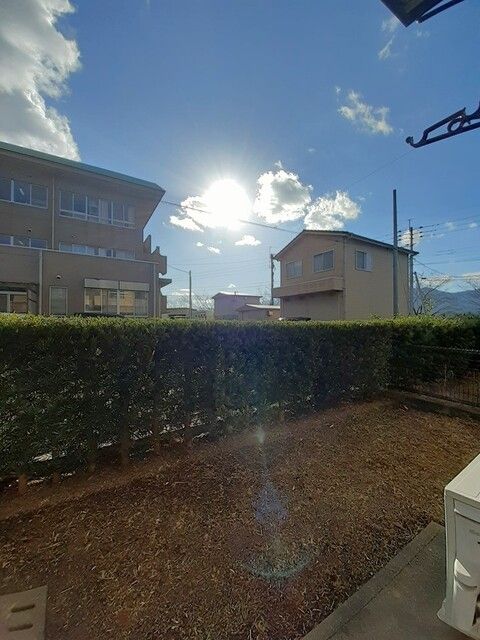 庭