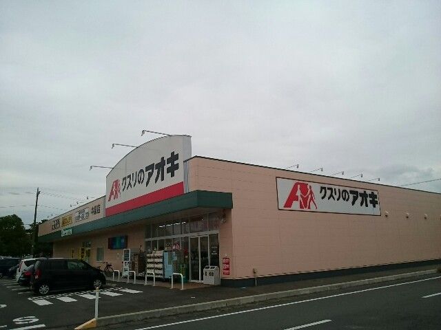 近くのクスリのアオキ中泉店まで600m（徒歩8分）