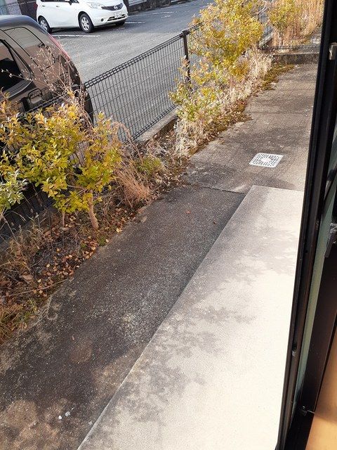 庭