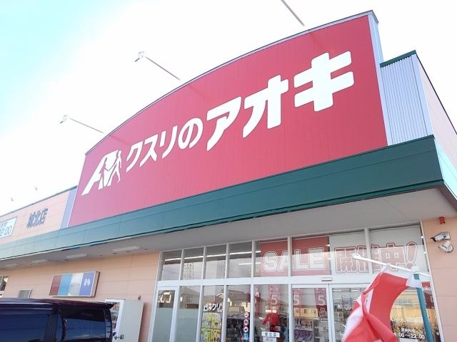 近くのドラッグストアまで250m（徒歩4分）