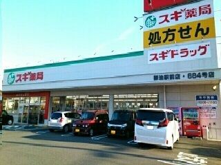 近くのスギ薬局御油店様まで810m（徒歩11分）