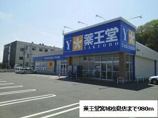 近くのドラッグストアまで980m（徒歩13分）