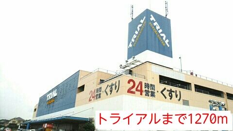 近くのトライアルまで1,270m（徒歩16分）