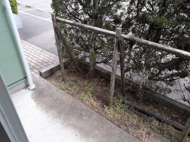 庭