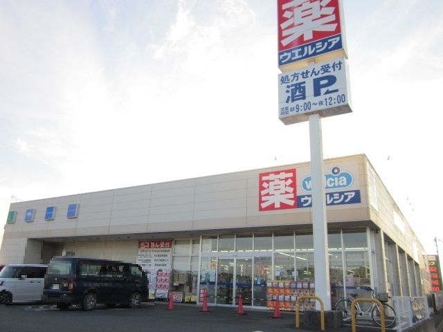 近くのウエルシア行方玉造店まで3,600m（徒歩45分）