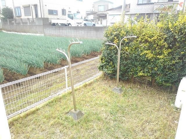 庭