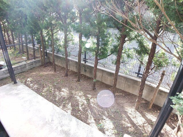 庭
