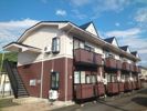 トレジャー2号館の間取り画像