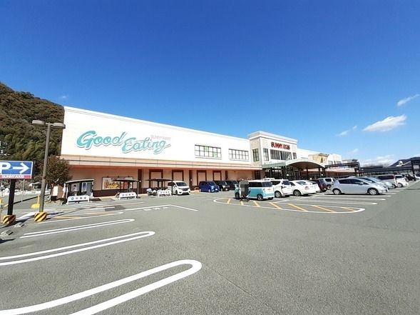 近くのサニーアクシス いの店まで750m（徒歩10分）