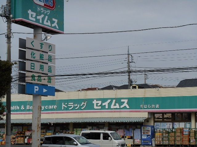 近くのドラッグセイムスちはら台店まで600m(徒歩8分)