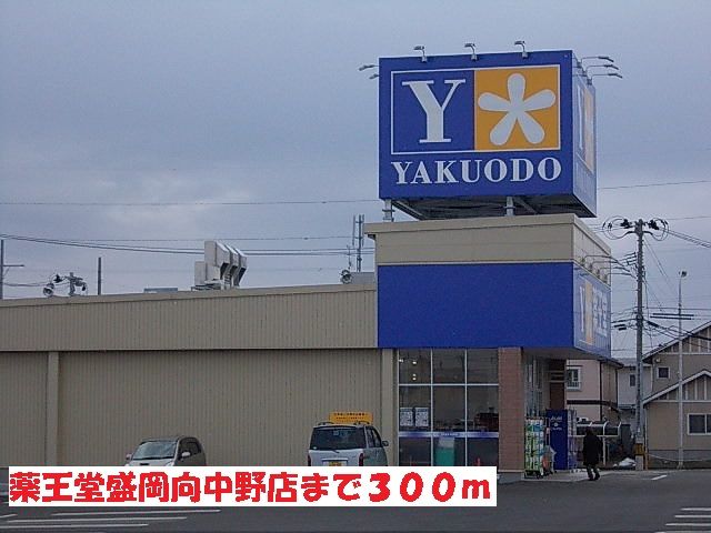 近くの薬王堂盛岡向中野店まで300m（徒歩4分）