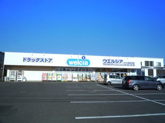 近くのウエルシアつくば松代店まで450m（徒歩6分）