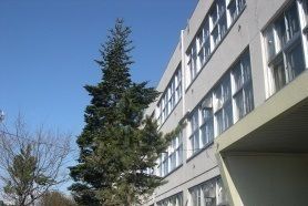 近くの明園小学校まで280m(徒歩4分)