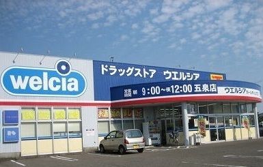 近くのウエルシア五泉店まで1,000m（徒歩13分）