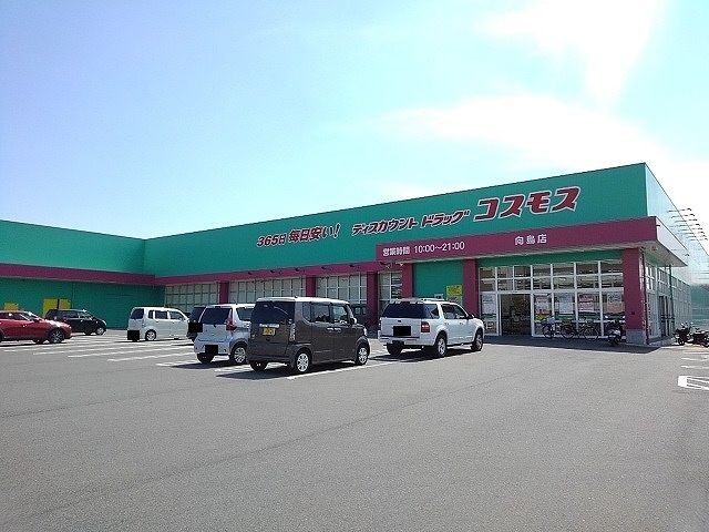近くのコスモス向島店まで350m(徒歩5分)