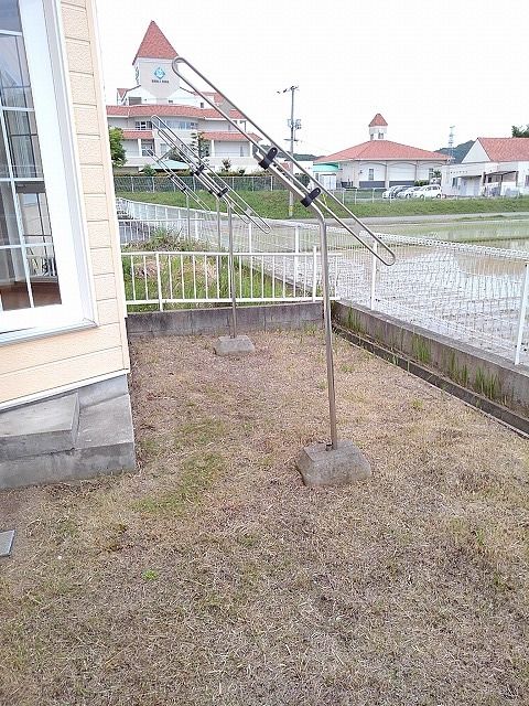 庭
