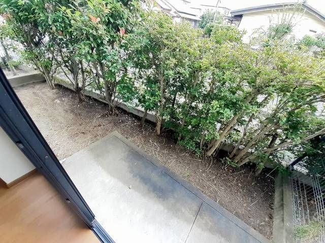 庭
