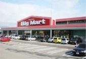 近くのビッグマート 開発店まで650m（徒歩9分）