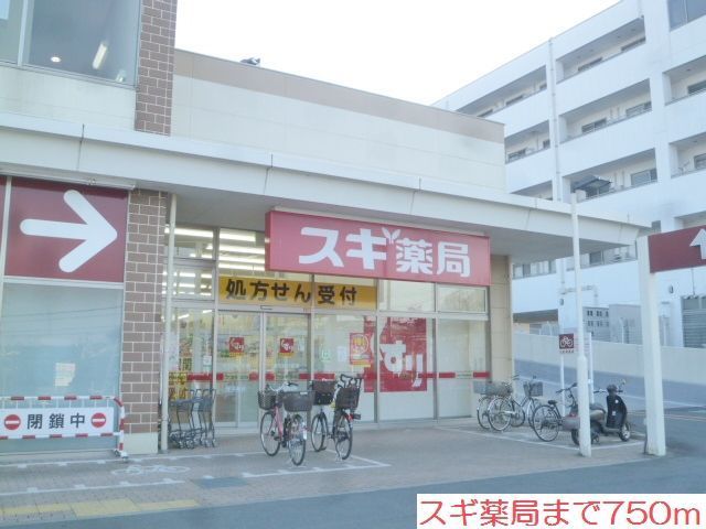 近くのスギ薬局まで750m（徒歩10分）