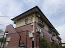 ニューシティK Ⅱの間取り画像