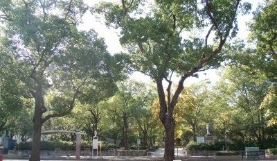 近くの公園まで900m（徒歩12分）