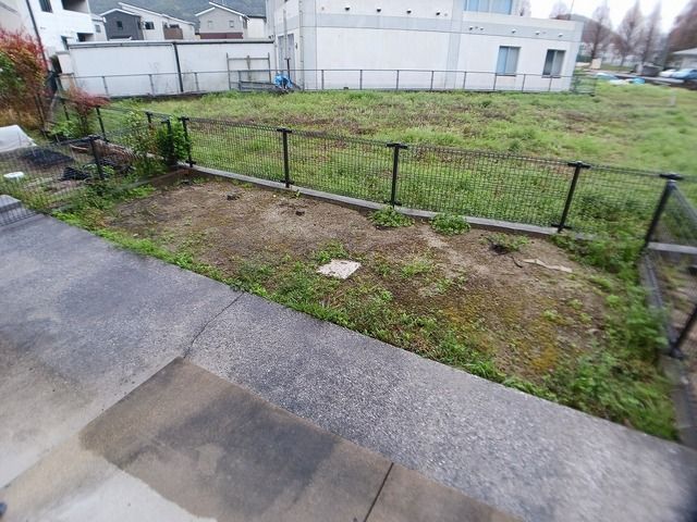 庭