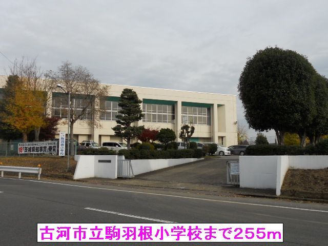 近くの古河市立駒羽根小学校まで255m（徒歩4分）