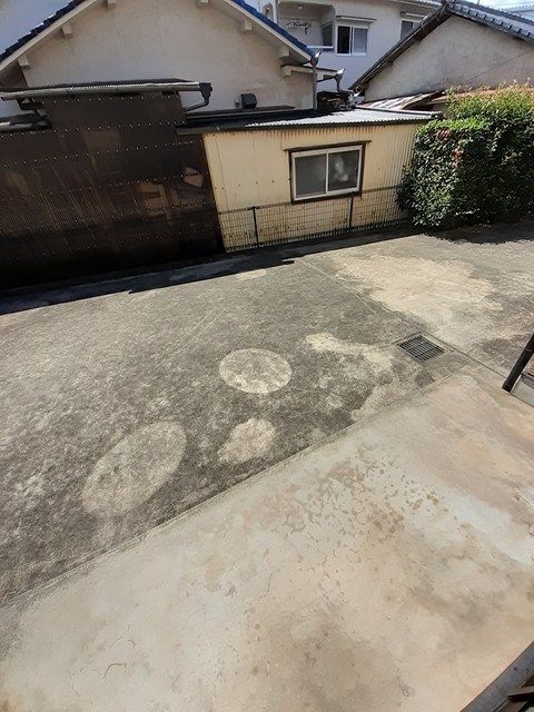 庭
