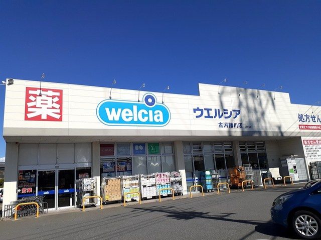 近くのウエルシア古河諸川店まで200m(徒歩3分)