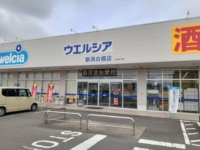 近くのウエルシア　新潟白根店まで451m（徒歩6分）