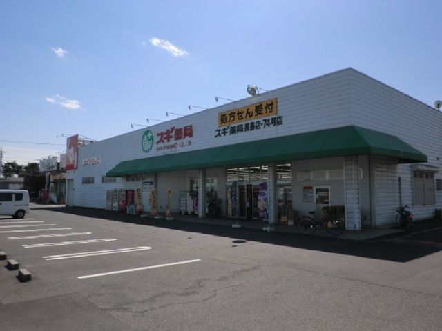 近くのスギ薬局長島店まで950m（徒歩12分）