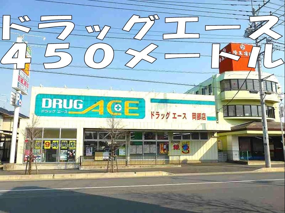 近くのドラッグエースまで450m(徒歩6分)