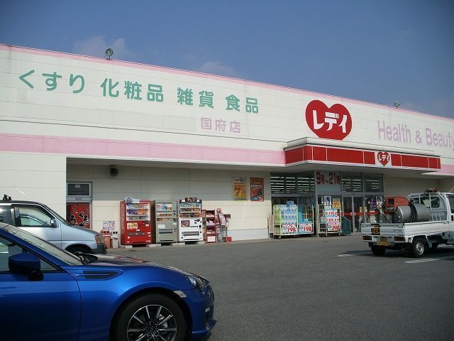 近くのくすりのレディ国府店様まで450m（徒歩6分）