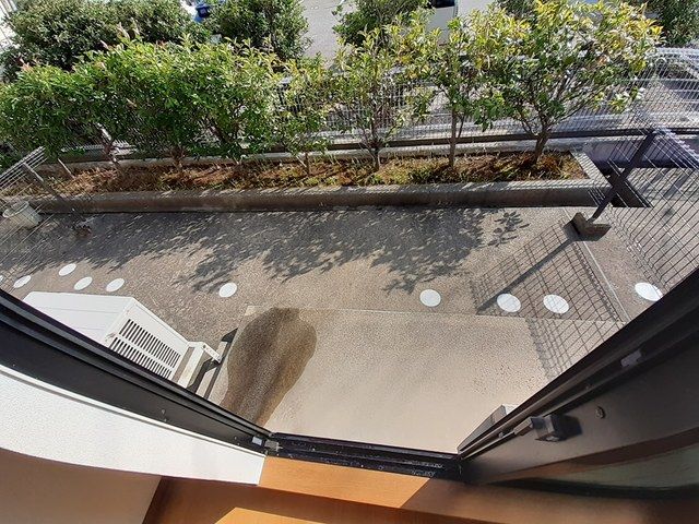 庭