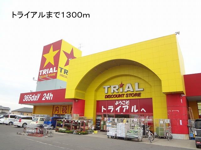 近くのトライアルまで1,300m（徒歩17分）
